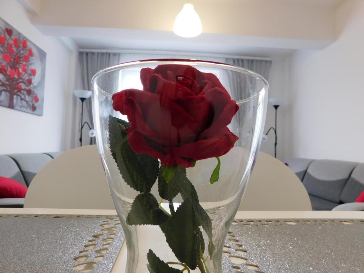 Apartamenty Niko Zator Dış mekan fotoğraf